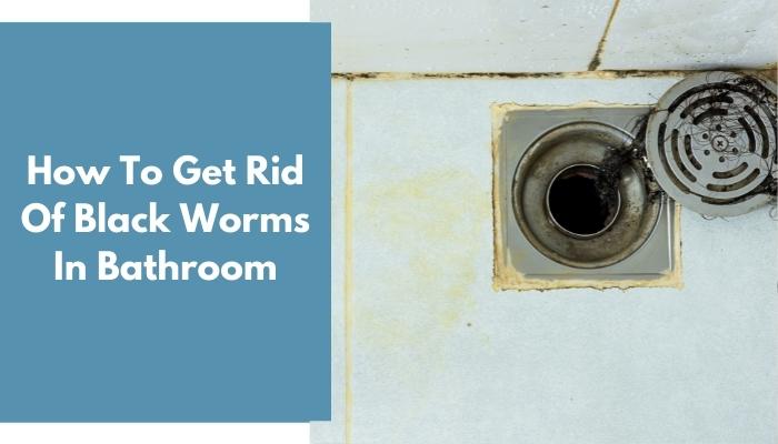 How To Get Rid Of Black Worms In Bathroom