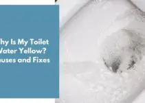 Why Is My Toilet Water Yellow? Causes and Fixes