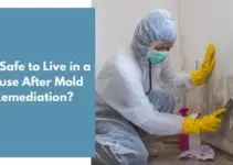 Is It Safe to Live in a House After Mold Remediation?